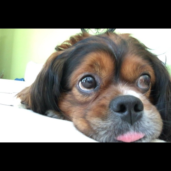 Meet your Posher, Megan - Picture 3 of 3